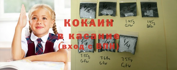 СК Ленинск-Кузнецкий