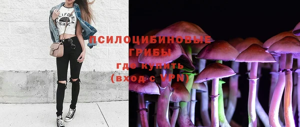 а пвп мука Ладушкин
