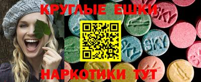 стаф Заводоуковск