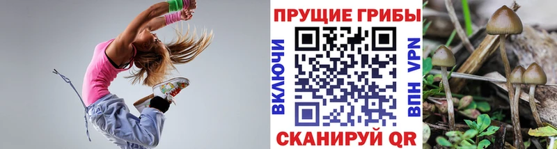 Псилоцибиновые грибы прущие грибы  купить наркотики сайты  Муравленко 