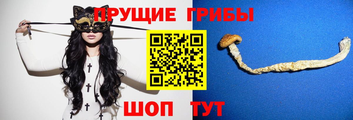 Муравленко  Галлюциногенные грибы GOLDEN TEACHER  Псилоцибиновые грибы GOLDEN TEACHER  Вход с VPN 