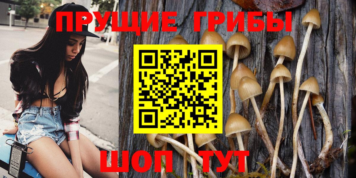 Галлюциногенные грибы GOLDEN TEACHER Муравленко