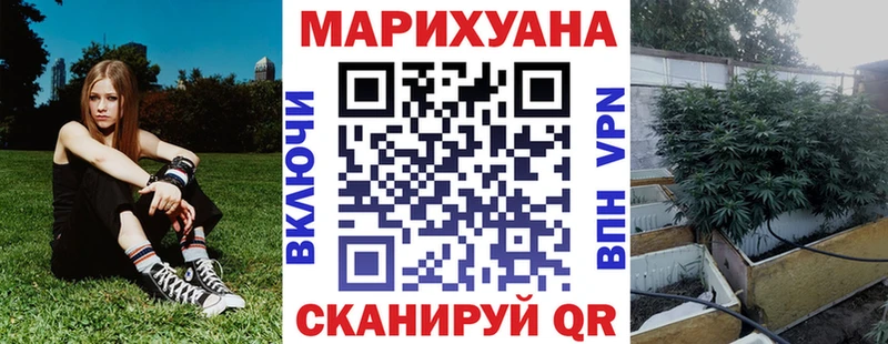 закладка Муравленко Канабис планчик